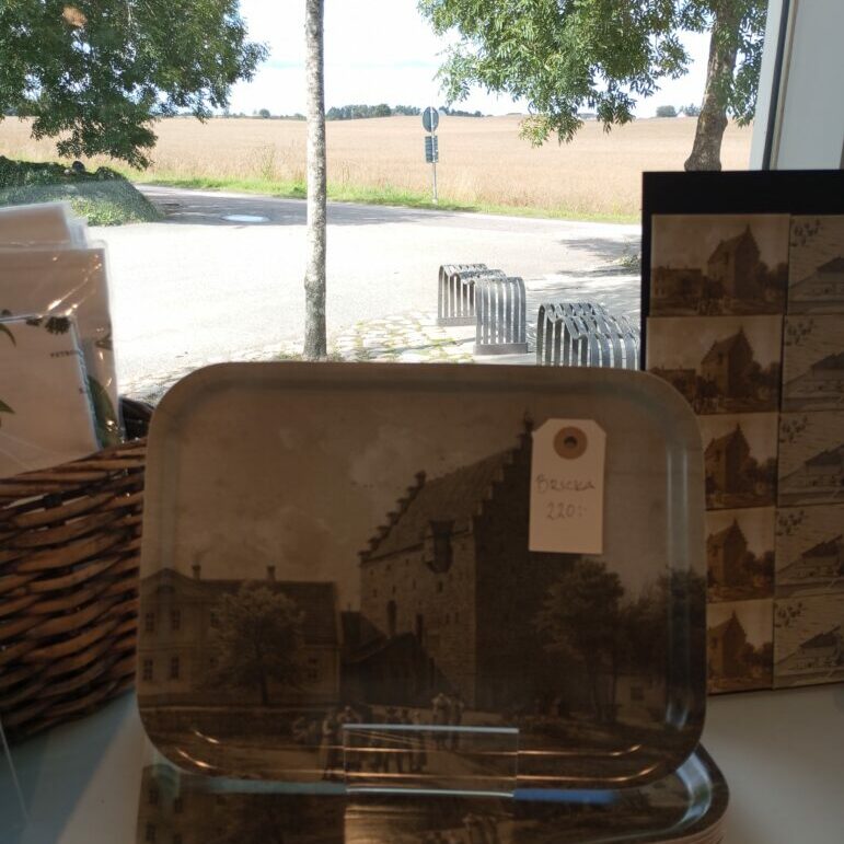 17220858018367708232611591378107