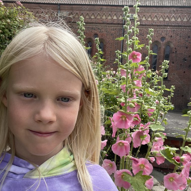 3A7E2227-9A7E-4065-A56B-DD0E646D272B